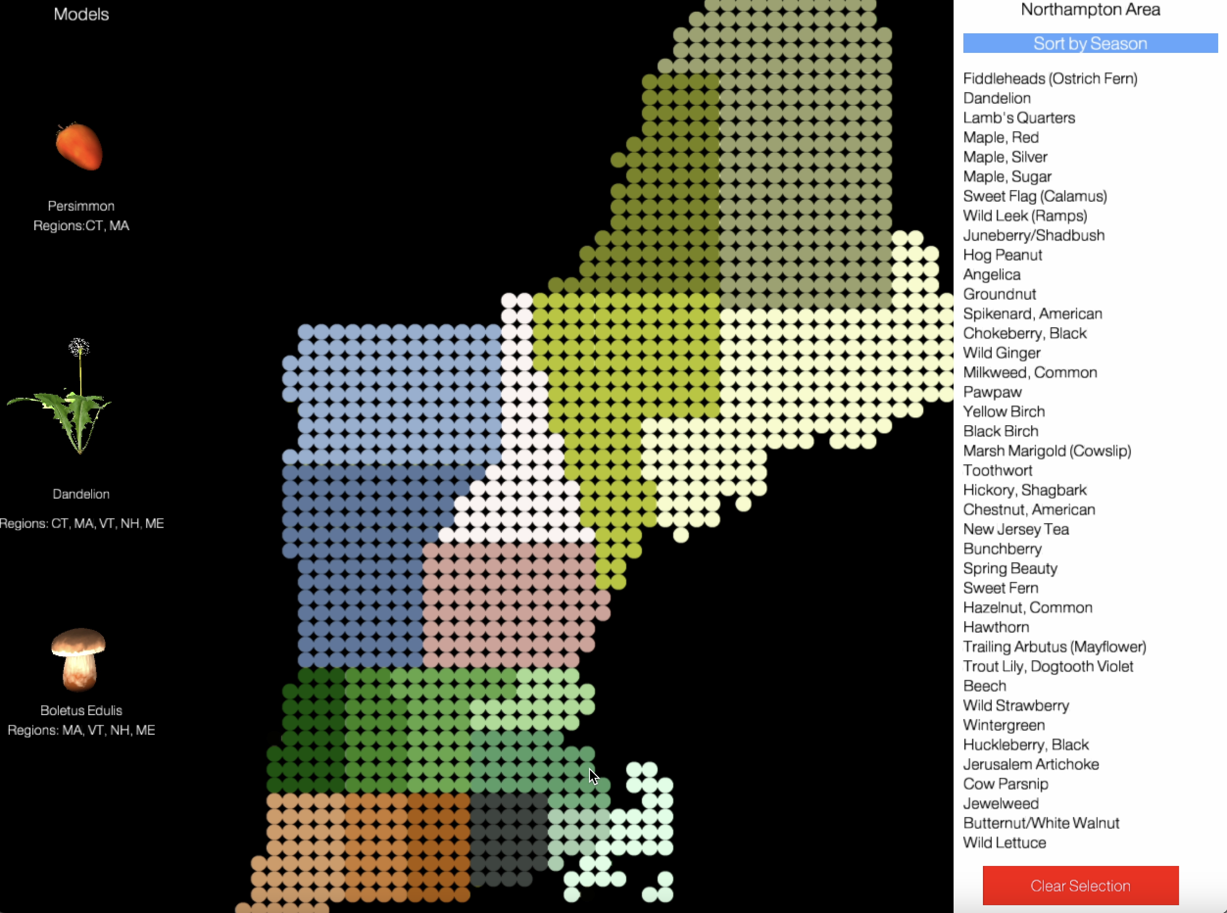 Project Image 1